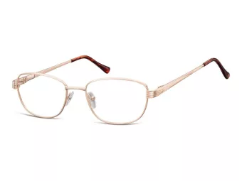 Berkeley Computer brille 796 C