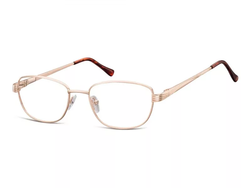 Berkeley Computer brille 796 C