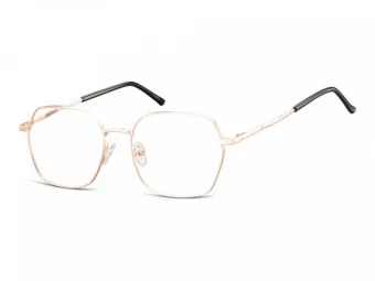 Berkeley Computer brille 913F