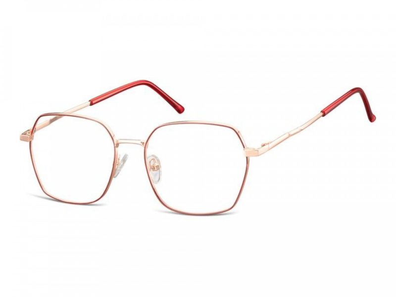Berkeley Computer brille 913