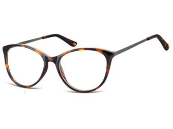 Berkeley Computer brille AC27