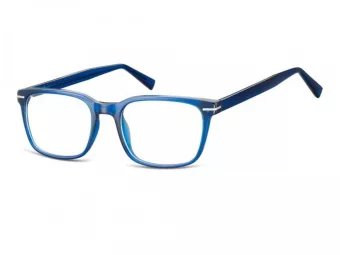 Berkeley Computer brille CP119B
