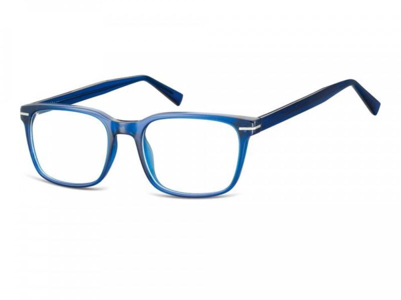 Berkeley Computer brille CP119B