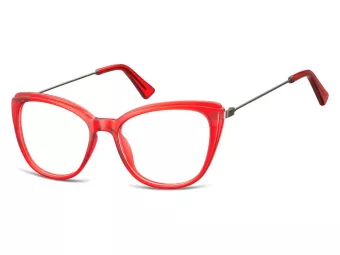 Berkeley Computer brille CP121F