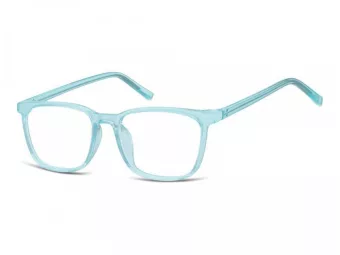 Berkeley Computer brille CP124A