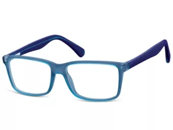 Berkeley Computer brille CP162 G