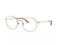 Dolce & Gabbana Brillen DG 1322 1298