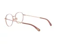 Dolce & Gabbana Brillen DG 1322 1298