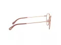Dolce & Gabbana Brillen DG 1322 1298