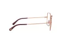 Dolce & Gabbana Brillen DG 1323 1333