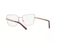 Dolce & Gabbana Brillen DG 1346 1333