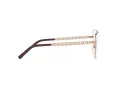 Dolce & Gabbana Brillen DG 1346 1333