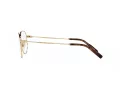 Dolce & Gabbana Brillen DG 1349 02