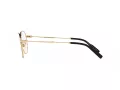 Dolce & Gabbana Brillen DG 1349 1311