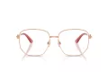 Dolce & Gabbana Brillen DG 1356 1298