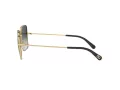 Dolce & Gabbana Sonnenbrille DG 2242 1334/8G