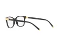 Dolce & Gabbana Brillen DG 5036 501