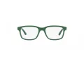 Dolce & Gabbana Kids Brillen DX 5097 3329