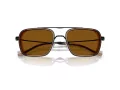 Emporio Armani Sonnenbrille EA 2162 300163