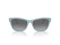 Emporio Armani Sonnenbrille EA 4227U 609611