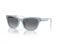 Emporio Armani Sonnenbrille EA 4227U 609611