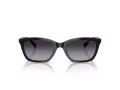 Emporio Armani Sonnenbrille EA 4238 50178G