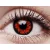 ColourVUE Crazy One-Day Volturi (2 stk), Tageskontaktlinsen