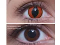 ColourVUE Crazy Mad Frog (2 stk) , Abdeckung, 3 Monatskontaktlinsen - ohne Dioptrie