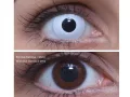 ColourVUE Crazy Whiteout (2 stk) , Abdeckung, 3 Monatskontaktlinsen - ohne Dioptrie
