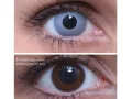 ColourVUE Crazy Zombie Grey (2 stk) , Abdeckung, 3 Monatskontaktlinsen - ohne Dioptrie
