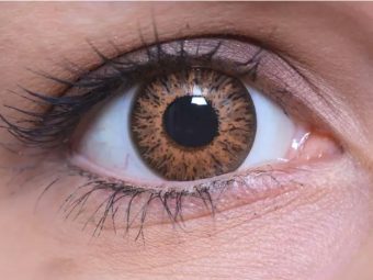   ColourVUE Glamour Méz (2 stk) , Highlight, 3 Monatskontaktlinsen