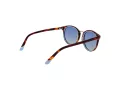 Funky Buddha Sonnenbrille FB 2046 004