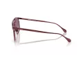 Ferrari Sonnenbrille FH 1017 120/7J