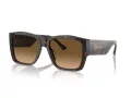 Ferrari Sonnenbrille FH 2003U 702/M2