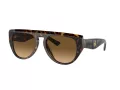 Ferrari Sonnenbrille FH 2005U 702/M2