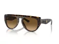 Ferrari Sonnenbrille FH 2005U 702/M2