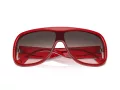 Ferrari Sonnenbrille FH 2006U 706/46
