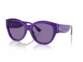 Ferrari Sonnenbrille FH 2008U 705/AK