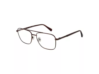 Gant Brillen GA 3300 036
