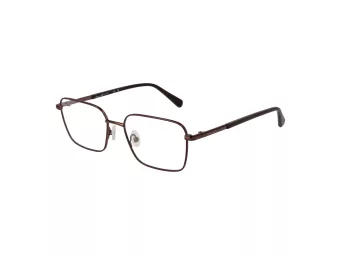 Gant Brillen GA 50010 036