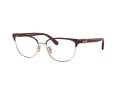 Coach Brillen HC 5130 9385