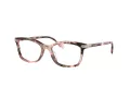 Coach Brillen HC 6219U 5528
