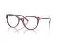 Coach Brillen HC 6220U 5773