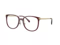 Coach Brillen HC 6241D 5824