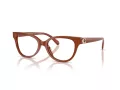 Coach Brillen HC 6247U 5841