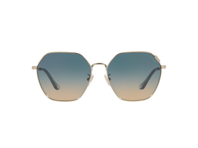 Coach C7998 Sonnenbrille HC 7132 900579