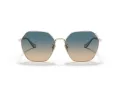 Coach C7998 Sonnenbrille HC 7132 900579