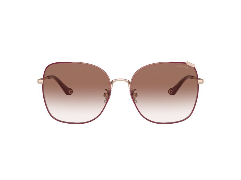 Coach C7997 Sonnenbrille HC 7133 94038D