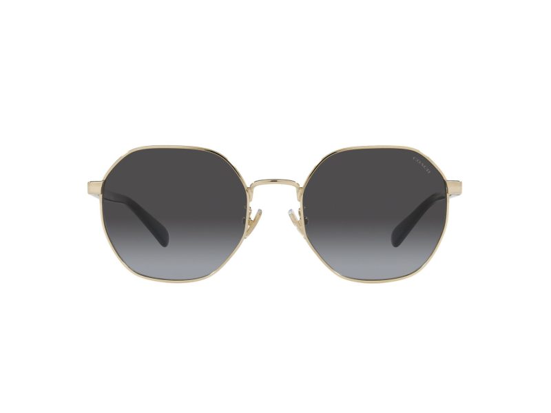 Coach Ch556 Sonnenbrille HC 7147 90058G