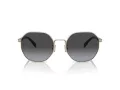 Coach Ch556 Sonnenbrille HC 7147 90058G